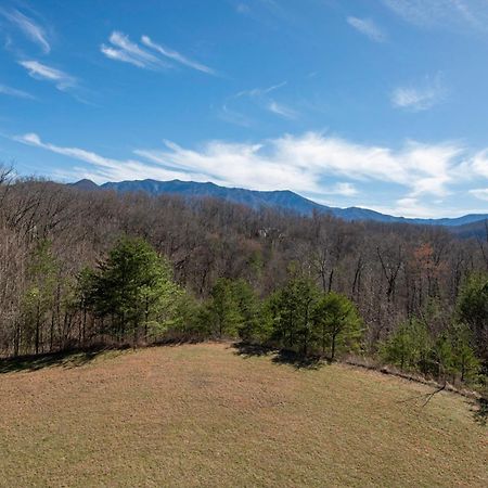Venus Lodges 146 By Stony Brook Cabins Gatlinburg Esterno foto